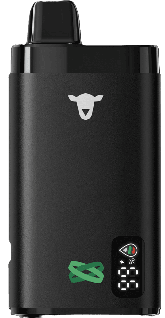 Black Sheep Dual Flavour Fresh Mint / Watermelon Strawberry vapo Montevideo Uruguay