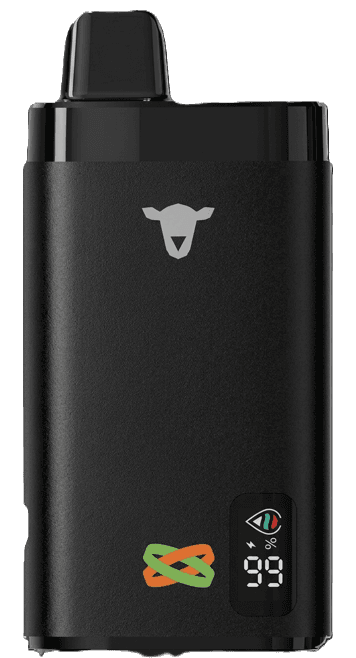 Black Sheep Dual Flavour Watermelon Bubble / Mango Peach vapo Montevideo Uruguay